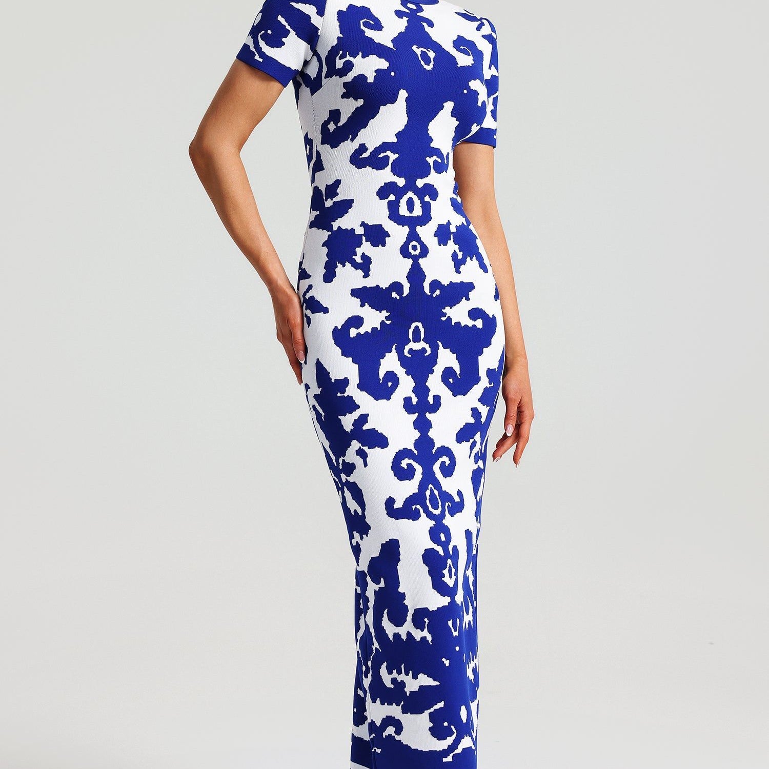 Aubrielle Kraliyet Desenli Maxi Elbise